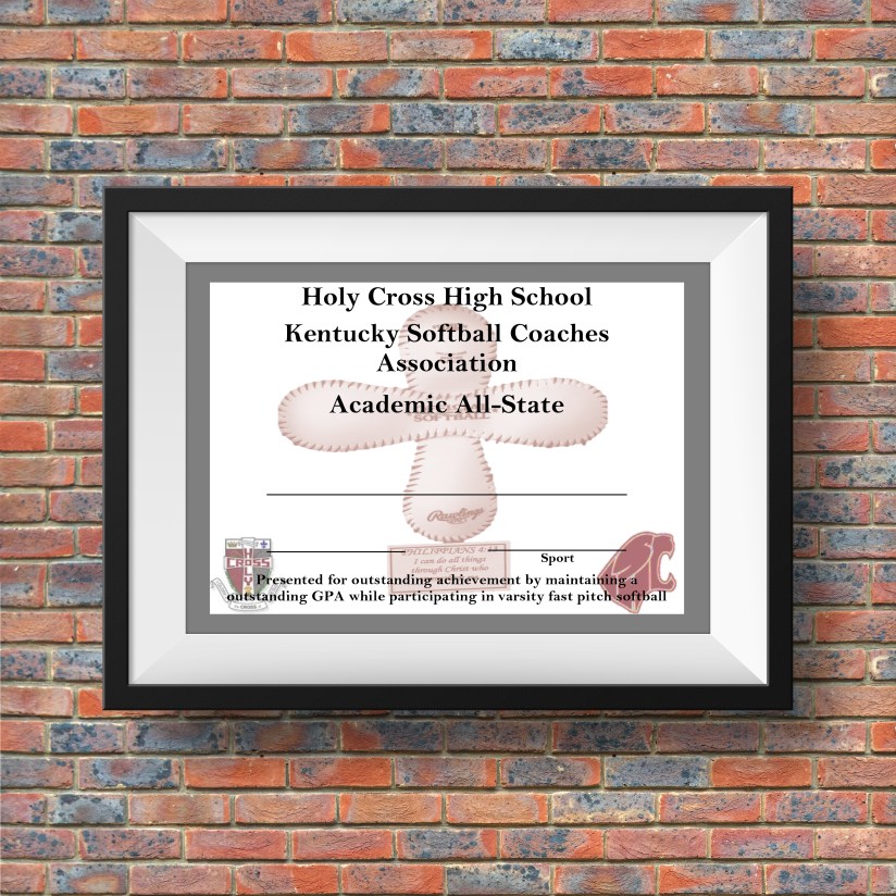 hchs award certificate frame mockup